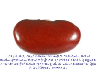 Los frijoles, cuyo nombre en ingles es Kidney Beans (Kidney=Riñón, Beans=frijoles) de verdad sanan y ayudan  a mantener las funciones renales, y si, se ven exactamente iguales  A los riñones humanos.  