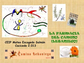 CEIP Mateo Escagedo Salmón
Cacicedo 2.013

LA FARMACIA
DEL CAMINO
(LEBANIEGO)

 
