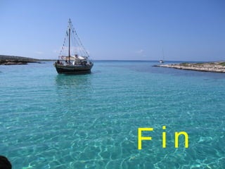 F i n 