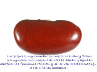 Los frijoles, cuyo nombre en ingles es Kidney Beans ( Kidney=Riñón, Beans=frijoles ) de verdad sanan y ayudan  a mantener las funciones renales, y si, se ven exactamente iguales  a los riñones humanos.  