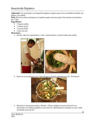 Alyse Rothrock
2007
28
Insecticida Orgánico
Aplicación: Un insecticida y un fungicida orgánicos seguros para el uso encendido comehen, las
plagas y los aphids.
Dosis: Rociar en áreas afectadas en el jardín cuando está necesitado. Esto durará en las plantas
por 3 días.
Ingredientes:
• 1 hoja de sábila
• 1 cabeza de ajo
• 1 taza de chilie
• 2 tazas de nim
Direcciones:
1. Escojer todos los ingredientes y corte, contusionarlos y triturar todos para arriba.
2. Poner en un receptáculo con 1 litro de agua y dejarlos infunden por 20 - 30 minutos.
3. Mezclar la mezcla para arriba y filtrarla. ¡[Tener cuidado con esta mezcla! Es un
insecticida y los humos pueden ser muy nocivos. Refrenarte de conseguir tu cara o abrir
las heridas cerca de la!]
 