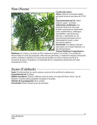 Alyse Rothrock
2007
9
Nim (Neem)
(Azadirachta indica)
Altura: árbol de crecimineto rápido
que puede alcanzar una altura de 15-20
m
Exposición/clima del sol: Árbol
tropical, sequía - resistente
Aplicaciones medicinales: Los
productos hechos de neem han
probado características medicinales
como: antihelmíntico, antihongos,
anti-diabético, anti-bacteriano,
antivirus, y antifertility etc. Se
prescribe particularmente para la
enfermedad de la piel y como
insecticida orgánico.
Encontrado: Los árboles están por
todas partes en el chalet Soberana y al
lado del dormitorio
Natural Medicines Comprehensive
Databases: La corteza y las hojas de Nim contienen el tanino y los aceites. Las semillas de
Neem rinden un aceite fijo integrado sobre todo por glicéridos y compuestos amargos incluyendo
nimbin, nimbinin y nimbidol. Las hojas del nim pueden ser útiles en la prevención de la
formación de placas. El gedunin y el nimbolide de los componentes demuestran actividad
anitmalarial in Vitro.
Jicaro (Calabash)
Suelo: El árbol prefiere los suelos arenosos, porosos de la arcilla de la sabana seca
Exposición del sol: Sol lleno
Hábitos fructíferos: Esférico calabaza-como las frutas a lo largo del tronco, hasta 1 pie de
diámetro. Semillas planas pequeñas encajadas en la pulpa.
Métodos de la propagación: De la semilla
Encontrado: Puede comprar jicaro de mercados
 