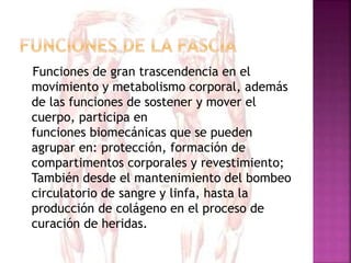 Funciones de gran trascendencia en el
movimiento y metabolismo corporal, además
de las funciones de sostener y mover el
cuerpo, participa en
funciones biomecánicas que se pueden
agrupar en: protección, formación de
compartimentos corporales y revestimiento;
También desde el mantenimiento del bombeo
circulatorio de sangre y linfa, hasta la
producción de colágeno en el proceso de
curación de heridas.
 