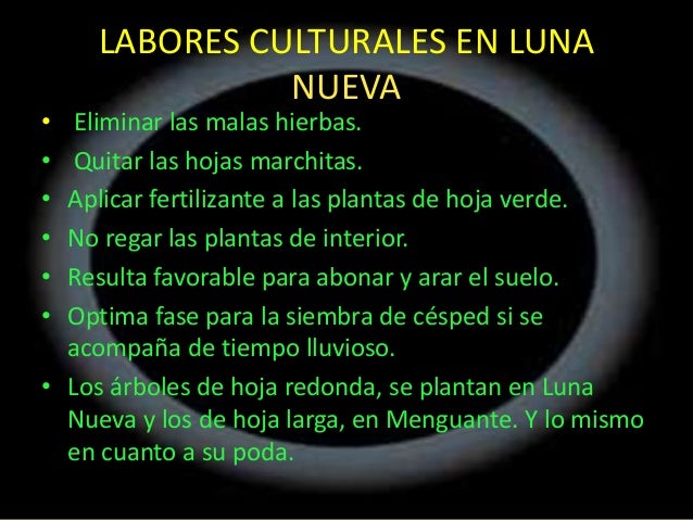 La fase lunar luna nueva (1) La fase lunar luna nueva (1)