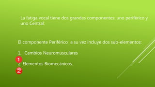La fatiga vocal tiene dos grandes componentes: uno periférico y
uno Central:
El componente Periférico a su vez incluye dos sub-elementos:
1. Cambios Neuromusculares
2. Elementos Biomecánicos.
 