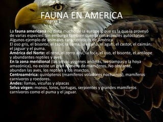 FAUNA EN AMERICA
La fauna americana no dista mucho de la europea, que es la que la proveyó
de varias especies. Sin embargo también cuenta con especies autóctonas.
Algunos ejemplo de animales característicos de América:
El oso gris, el bisonte, el tapir, la llama, la vicuña, el agutí, el castor, el caimán,
el jaguar y el puma.
América del Norte: el reno, el zorro azul, la foca, el oso, el bisonte, el antílope
y abundantes reptiles y aves.
En la zona meridional (las selvas vírgenes andinas, las pampas y la hoya
amazónica), no existe un gran número de mamíferos. No obstante,
abundan las aves, los reptiles y los insectos.
Centroamérica: quirópteros (mamíferos voladores nocturnos), mamíferos
carnivoros y roedores.
Andes: llamas, vicuñas y alpacas
Selva virgen: monos, loros, tortugas, serpientes y grandes mamíferos
carnívoros como el puma y el jaguar.
 