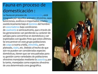 Fauna en proceso de
domesticación :
La fauna en proceso de domesticación, está
integrada por aquellos animales silvestres, sean
autóctonos, exóticos o importados, criados
zootécnicamente bajo el dominio del hombre
en zoocriaderos bajo condiciones
de cautiverio o semicautiverio, que a través de
las generaciones van perdiendo su carácter de
salvajes para convertirse en domésticos y ser
explotados con iguales fines que estos últimos.
Se encuentran en este grupo poblaciones
de coipo o nutria criolla, chinchilla, zorro
plateado, visón, etc. Debido al hecho de que
aún no pueden ser consideradas especies
domésticas, tienen que ser encuadradas para
su gestión como variedades de poblaciones
silvestres manejadas mediante la zoocría y, por
lo tanto, manejadas como especies silvestres
de una determinada zona geográfica.

 