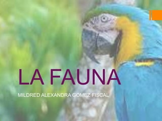 LA FAUNA
MILDRED ALEXANDRA GOMEZ FISCAL

 