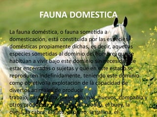 FAUNA DOMESTICA
La fauna doméstica, o fauna sometida a
domesticación, está constituida por las especies
domésticas propiamente dichas, es decir, aquellas
especies sometidas al dominio del hombre, que se
habitúan a vivir bajo este dominio sin necesidad de
estar encerradas o sujetas y que en este estado se
reproducen indefinidamente, teniendo este dominio
como objetivo la explotación de la capacidad de
diversos animales de producir
trabajo, carne, lana, pieles, plumas, huevos, compañía y
otros productos y servicios (el caballo, el buey, la
oveja, la cabra, el gato, el perro, la gallina, el

 