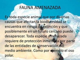 FAUNA AMENAZADA
Es toda especie animal que por diversas
causas que afectan la biodiversidad se
encuentra en riesgo de extinción y que
posiblemente en un futuro cercano puede
desaparecer. Toda especie amenazada
requiere de protección inmediata por parte
de las entidades de conservación del
medio ambiente. Como por ejemplo el oso
polar.

 