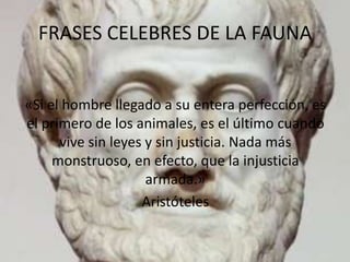 FRASES CELEBRES DE LA FAUNA
«Si el hombre llegado a su entera perfección, es
el primero de los animales, es el último cuando
vive sin leyes y sin justicia. Nada más
monstruoso, en efecto, que la injusticia
armada.»
Aristóteles

 