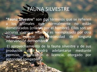 FAUNA SILVESTRE
"Fauna Silvestre" son dos términos que se refieren
a los animales que normalmente no están
domesticados (criados por el hombre). Ellos son un
recurso vivo que muere y es reemplazado por otro
de su especie sin necesidad de ninguna
intervención del hombre.
El aprovechamiento de la fauna silvestre y de sus
productos solo podrá adelantarse mediante
permiso, autorización o licencia, otorgado por
autoridad competente.

 
