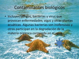 Contaminantes biológicos
• Incluyen hongos, bacterias y virus que
provocan enfermedades, algas y otras plantas
acuáticas. Algunas bacterias son inofensivas y
otras participan en la degradación de la
materia orgánica contenida en el agua.
 