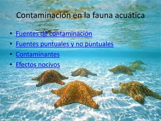 Contaminación en la fauna acuática
• Fuentes de contaminación
• Fuentes puntuales y no puntuales
• Contaminantes
• Efectos nocivos
 