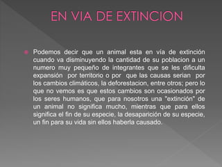  Podemos decir que un animal esta en vía de extinción
cuando va disminuyendo la cantidad de su poblacion a un
numero muy pequeño de integrantes que se les dificulta
expansión por territorio o por que las causas serian por
los cambios climáticos, la deforestacion, entre otros; pero lo
que no vemos es que estos cambios son ocasionados por
los seres humanos, que para nosotros una "extinción" de
un animal no significa mucho, mientras que para ellos
significa el fin de su especie, la desaparición de su especie,
un fin para su vida sin ellos haberla causado.
 