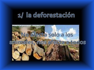 1/  la deforestación<br />No afecta solo a los<br /> animales, nos afecta a todos<br />