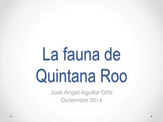 La fauna de 
Quintana Roo 
José Ángel Aguilar Ortiz 
Diciembre 2014 
 