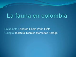 Estudiante : Andrea Paola Peña Pinto
Colegio: Instituto Técnico Mercedes Abrego

 