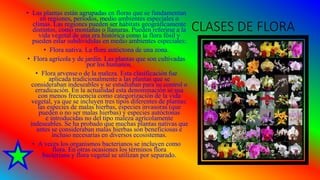CLASES DE FLORA
• Las plantas están agrupadas en floras que se fundamentan
en regiones, períodos, medio ambientes especiales o
climas. Las regiones pueden ser hábitats geográficamente
distintos, como montañas o llanuras. Pueden referirse a la
vida vegetal de una era histórica como la flora fósil y
pueden estar subdivididas en medio ambientes especiales:
• Flora nativa. La flora autóctona de una zona.
• Flora agrícola y de jardín. Las plantas que son cultivadas
por los humanos.
• Flora arvense o de la maleza. Esta clasificación fue
aplicada tradicionalmente a las plantas que se
consideraban indeseables y se estudiaban para su control o
erradicación. En la actualidad esta denominación se usa
con menos frecuencia como categorización de la vida
vegetal, ya que se incluyen tres tipos diferentes de plantas:
las especies de malas hierbas, especies invasoras (que
pueden o no ser malas hierbas) y especies autóctonas
e introducidas no del tipo maleza agrícolamente
indeseables. Se ha probado que muchas plantas nativas que
antes se consideraban malas hierbas son beneficiosas e
incluso necesarias en diversos ecosistemas.
• A veces los organismos bacterianos se incluyen como
flora. En otras ocasiones los términos flora
bacteriana y flora vegetal se utilizan por separado.
 