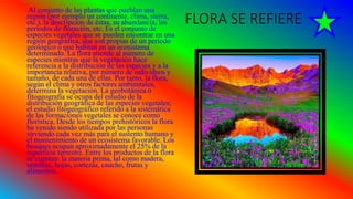 FLORA SE REFIERE
Al conjunto de las plantas que pueblan una
región (por ejemplo un continente, clima, sierra,
etc.), la descripción de éstas, su abundancia, los
períodos de floración, etc. Es el conjunto de
especies vegetales que se pueden encontrar en una
región geográfica, que son propias de un periodo
geológico o que habitan en un ecosistema
determinado. La flora atiende al número de
especies mientras que la vegetación hace
referencia a la distribución de las especies y a la
importancia relativa, por número de individuos y
tamaño, de cada una de ellas. Por tanto, la flora,
según el clima y otros factores ambientales,
determina la vegetación. La geobotánica o
fitogeografía se ocupa del estudio de la
distribución geográfica de las especies vegetales;
el estudio fitogeográfico referido a la sistemática
de las formaciones vegetales se conoce como
florística. Desde los tiempos prehistóricos la flora
ha venido siendo utilizada por las personas
sirviendo cada vez más para el sustento humano y
el mantenimiento de un ecosistema favorable. Los
bosques ocupan aproximadamente el 25% de la
superficie terrestre. Entre los productos de la flora
se cuentan: la materia prima, tal como madera,
semillas, hojas, cortezas, caucho, frutas y
alimentos.
 