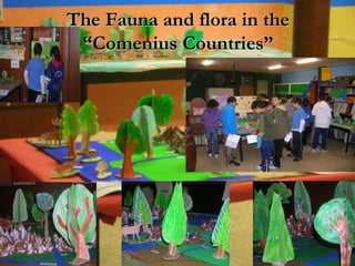 The Fauna and flora in the “Comenius Countries” 