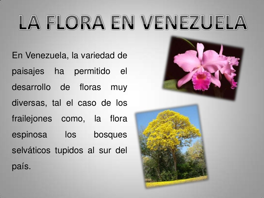 La fauna y la flora diapositivas