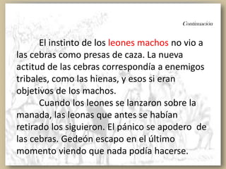 Continuación
El instinto de los leones machos no vio a
las cebras como presas de caza. La nueva
actitud de las cebras correspondía a enemigos
tribales, como las hienas, y esos si eran
objetivos de los machos.
Cuando los leones se lanzaron sobre la
manada, las leonas que antes se habían
retirado los siguieron. El pánico se apodero de
las cebras. Gedeón escapo en el último
momento viendo que nada podía hacerse.
 