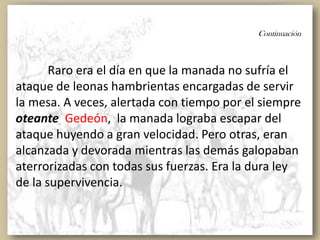 Continuación
Raro era el día en que la manada no sufría el
ataque de leonas hambrientas encargadas de servir
la mesa. A veces, alertada con tiempo por el siempre
oteante Gedeón, la manada lograba escapar del
ataque huyendo a gran velocidad. Pero otras, eran
alcanzada y devorada mientras las demás galopaban
aterrorizadas con todas sus fuerzas. Era la dura ley
de la supervivencia.
 