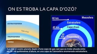ON ES TROBA LA CAPA D’OZÓ?
•La vida al nostre planeta depèn d'una capa de gas ozó que es troba situada entre
els 20 i 40 quilòmetres d'altura, en una capa de l'atmosfera anomenada estratosfera.
 