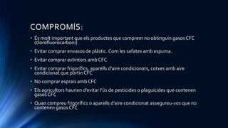 COMPROMÍS:
• És molt important que els productes que comprem no obtinguin gasos CFC
(clorofluorocarboni)
• Evitar comprar envasos de plàstic. Com les safates amb espuma.
• Evitar comprar extintors amb CFC
• Evitar comprar frigorífics, aparells d’aire condicionats, cotxes amb aire
condicionat que portin CFC
• No comprar esprais amb CFC
• Els agricultors haurien d’evitar l’ús de pesticides o plaguicides que contenen
gasos CFC
• Quan compreu frigorífics o aparells d’aire condicionat assegureu-vos que no
contenen gasos CFC
 