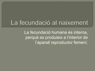 La fecundació humana és interna,
perquè es produieix a l’interior de
      l’aparell reproductor femení.
 