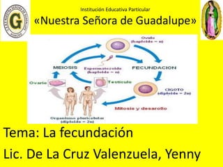 Institución Educativa Particular 
«Nuestra Señora de Guadalupe» 
Tema: La fecundación 
Lic. De La Cruz Valenzuela, Yenny 
 