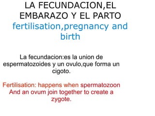 LA FECUNDACION,EL
EMBARAZO Y EL PARTO
fertilisation,pregnancy and
birth
La fecundacion:es la union de
espermatozoides y un ovulo,que forma un
cigoto.
Fertilisation: happens when spermatozoon
And an ovum join together to create a
zygote.

 