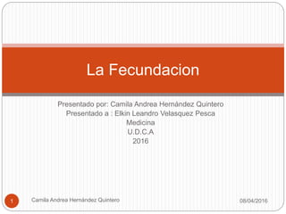 Presentado por: Camila Andrea Hernández Quintero
Presentado a : Elkin Leandro Velasquez Pesca
Medicina
U.D.C.A
2016
La Fecundacion
08/04/2016Camila Andrea Hernández Quintero1
 