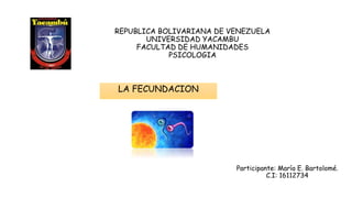 REPUBLICA BOLIVARIANA DE VENEZUELA
UNIVERSIDAD YACAMBU
FACULTAD DE HUMANIDADES
PSICOLOGIA
LA FECUNDACION
Participante: María E. Bartolomé.
C.I: 16112734
 