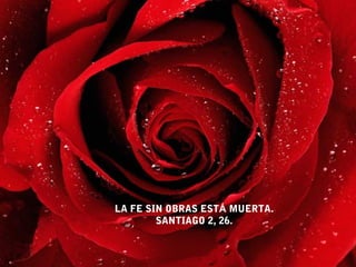 LA FE SIN OBRAS ESTÁ MUERTA.
        SANTIAGO 2, 26.
 