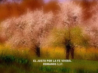 EL JUSTO POR LA FE VIVIRÁ.
      ROMANOS 1,17.
 