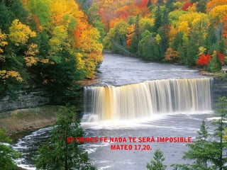 SI TIENES FE NADA TE SERÁ IMPOSIBLE.
             MATEO 17,20.
 