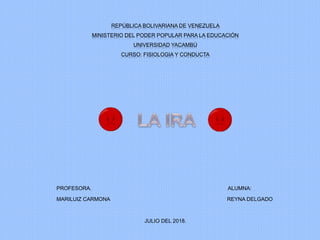 REPÚBLICA BOLIVARIANA DE VENEZUELA
MINISTERIO DEL PODER POPULAR PARA LA EDUCACIÓN
UNIVERSIDAD YACAMBÚ
CURSO: FISIOLOGIA Y CONDUCTA
PROFESORA. ALUMNA:
MARILUIZ CARMONA REYNA DELGADO
JULIO DEL 2018.
 