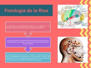 Fisiología de la Risa
El procesamiento de las emociones se realiza en el sistema límbico, el
cual es probablemente responsable de los potenciales motores que
caracterizan a la risa, incluyendo la expresión facial y los movimientos
de los músculos que controlan la ventilación y la fonación.
Se produce cuando un estímulo (interno o externo) es procesado en
áreas primarias, secundarias y de asociación multimodal del sistema
nervioso central.
Su mecanismo de funcionamiento reside en la respiración, y se
produce mediante interrupciones de la exhalación del aliento.
 