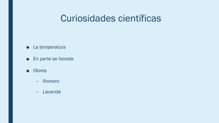Curiosidades científicas
■ La temperatura
■ En parte se hereda
■ Olores
– Romero
– Lavanda
 