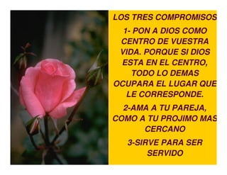 LOS TRES COMPROMISOS
  1- PON A DIOS COMO
 CENTRO DE VUESTRA
 VIDA. PORQUE SI DIOS
 ESTA EN EL CENTRO,
    TODO LO DEMAS
OCUPARA EL LUGAR QUE
   LE CORRESPONDE.
  2-AMA A TU PAREJA,
COMO A TU PROJIMO MAS
      CERCANO
   3-SIRVE PARA SER
        SERVIDO
 