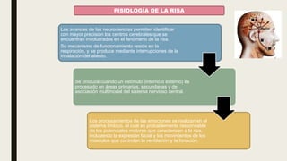 Los avances de las neurociencias permiten identificar
con mayor precisión los centros cerebrales que se
encuentran involucrados en el fenómeno de la risa.
Su mecanismo de funcionamiento reside en la
respiración, y se produce mediante interrupciones de la
inhalación del aliento.
Se produce cuando un estímulo (interno o externo) es
procesado en áreas primarias, secundarias y de
asociación multimodal del sistema nervioso central.
Los procesamientos de las emociones se realizan en el
sistema límbico, el cual es probablemente responsable
de los potenciales motores que caracterizan a la riza,
incluyendo la expresión facial y los movimientos de los
músculos que controlan la ventilación y la fonación.
FISIOLOGÍA DE LA RISA
 