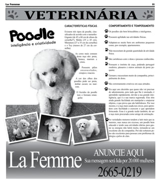 La Femme                                                                                                                  11




           VETERINÁRIA
                                   CARACTERÍSTICAS FÍSICAS               COMPORTAMENTO E TEMPERAMENTO




  Poodle
                                   Existem três tipos de poodle, clas-   Os poodles são bem brincalhões e inteligentes.
                                   sificados de acordo com o tamanho:
                                   Gigante (de 45 a 60 cm de altura da   Possuem agilidade nas atividades físicas.
                                   cernelha*), Médio (35 a 45 cm),
                        tividade
      teligência e cria
                                   Miniatura (27 a 35 cm da cernelha)    Adaptam-se muito bem em ambientes pequenos
   in                              e o Toy (menos de 27 cm da cer-
                                   nelha).
                                                                         como, por exemplo, apartamentos.

                                                                         Não necessitam de grande quantidade de atividade
                                              As cores mais comuns       física.
                                               desta raça são: preta,
                                                 branca, marrom e        São carinhosos com o dono e pessoas conhecidas.
                                                  cinza.
                                                                         Possuem o instinto de caça, podendo perseguir
                                                     Possuem pêlos       roedores, pássaros e outros animais de porte pe-
                                                    encaracolados,       queno.
                                                  crespos e macios.
                                                                         Gostam e necessitam muito de companhia, princi-
                                               A cor dos olhos dos       palmente do dono.
                                             poodles pode ser preta,
                                              âmbar escuro ou mar-       São extremamente criativos em suas atitudes.
                                              rom.
                                                                         Eis aqui um cãozinho que quase não vai precisar
                                               O focinho do poodle       de adestramento, pois tudo que lhe é ensinado, é
                                               tem o formato retan-      aprendido rapidamente, devido a sua grande inte-
                                                gular.                   ligência, que é a sua marca registrada. Eles têm
                                                                         ainda grande facilidade em manipular e empurrar
                                                                         objetos, o que prova que são habilidosos. Por isso
                                                                         mesmo, é a raça mais usada nos circos, pois apren-
                                                                         dem com facilidade e exercem o que aprendem
                                                                         brincando. Essa é a grande razão também, de ser
                                                                         a raça mais procurada como amigo de estimação.

                                                                         As variedades menores tendem a latir mais que as
                                                                         maiores, mas nunca em excesso, um poodle bem
                                                                         educado e tendo suas atividades diárias para gas-
                                                                         tar as energias não latirá muito, tornando-se um
                                                                         excelente cão de companhia. Por não soltarem pe-
                                                                         los são excelentes para pessoas com problemas de
                                                                         alergia a pelos de cães.
 