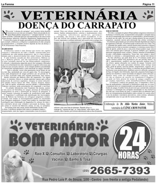 La Femme                                                                                                                                                                                                                Página 11




                            VETERINÁRIA
                        DOENÇA DO CARRAPATO
N
        ão existe “a doença do carrapato”, pois existem várias doenças      animal. Para este último, dispõe-se de numerosos meios: pós,                        ERLICHIOSE
        transmissíveis aos cães por carrapatos. Basta uma picada do car-    sprays, banhos antiparasitários, coleiras e medicamentos orais.                        Nos cães, o carrapato do gênero Rhipicephalus sanguineus transmissor
        rapato Rhipicephalus sanguineus (= “carrapato marrom” ou “car-            Algumas substâncias químicas, geralmen-                                       da doença é o Erlichia canis. A transmissão se dá quando o carrapato ataca
rapato vermelho”) infectado para que seja transmitida ao cão uma ou mais    te utilizadas, são tóxicas e têm efeitos secundários. É me-                         um cão já contaminado pela Erlichia se contaminando e, posteriormente,
destas doenças: babesiose, erliquiose, anaplasmose, hepatozoonose, etc.     lhor não utilizar tais produtos sem a aprovação do veterinário.                     ao atacar um cão sadio, faz com que a doença penetre em sua corrente
  Existem dois exames de sangue que podem ser utilizados para detectar,     É muito importante o combate ambiental, pois assim como as pulgas eles              sanguínea, causando anemia pela destruição das células vermelhas.
por exemplo, a babesiose, a erliquiose e a anaplasmose em cães: pesquisa                                                                                         Os sintomas apresentados por um animal infectado dependem da reação
de hematozoários: o resultado positivo depende da fase da doença; e                                                                                             do organismo à infecção. A Erlichiose pode se desenvolver em 3 fases. Na
PCR (Polymerase Chain Reaction).                                                                                                                                1ª, chamada fase aguda (onde o animal doente pode transmitir a doença
                                                                                                                                                                e ainda é possível que se encontre carrapatos), os sintomas coomo febre,
BABESIOSE                                                                                                                                                       falta de apetite, perda de peso e uma certa tristeza podem surgir entre
    A babesiose canina é uma doença que ocorre nas regiões                                                                                                      uma e três semanas após a infecção. É possível, também, que o animal
tropicais e subtropicais de todo o mundo, caracterizada prin-                                                                                                   apresente sangramento nasal, urinário, vômitos, manchas avermelhadas
cipalmente por uma anemia progressiva, que é o fator prepon-                                                                                                    na pele e dificuldades respiratórias. Nessa fase, nem sempre o dono
derante para o desenvolvimento dos sinais clínicos da doença.                                                                                                   percebe os sintomas e, conseqüentemente, que o animal está doente.
    É uma moléstia causada por dois protozoários, Babesia ca-                                                                                                      Na fase subclínica, que pode durar de 6 a 10 semanas (sendo que
nis e Babesia gibsoni, que são transmitidos principalmen-                                                                                                       alguns animais podem nela permanecer por um período maior), o
te pelo carrapato marrom do cão Rhipicephalus sanguineus.                                                                                                       cão é, aparentemente, saudável sem que apresente nenhum sinto-
A infecção é naturalmente adquirida através dos carrapatos infectados                                                                                           ma clínico, apenas alterações nos exames de sangue. Somente em
que, ao se alimentarem nos cães, transmitem os agentes infecciosos que                                                                                          alguns casos o cão pode apresentar sintomas como inchaço nas
estão em suas secreções salivares. Já foi relatado também a possibilidade                                                                                       patas, perda de apetite, mucosas pálidas, sangramentos, cegueira, etc.
de transmissão transplacentária e pela transfusão de sangue infectado.                                                                                           Na 3ª fase, chamada de fase crônica, os sintomas são percebidos mais
        Após a infecção, ocorre uma parasitemia inicial dentro de um                                                                                            facilmente como perda de peso, abdômen sensível e dolorido, aumento
ou dois dias, perdurando por cerca de quatro dias. Os microorganis-                                                                                             do baço, do fígado e dos linfonodos, depressão, pequenas hemorragias,
mos então desaparecem do sangue periférico por um período de 10                                                                                                 edemas nos membros e maior facilidade em adquirir outras infecções.
a 14 dias, ocorrendo então uma segunda parasitemia, mais intensa.                                                                                               Quanto mais cedo for diagnosticada a doença, maio-
   Muitas infecções por Babesia canis são inaparentes. Em alguns                                                                                                res são as chances de sucesso no tratamento.O diagnósti-
casos, os sintomas clínicos se tornam aparentes apenas após esforço                                                                                             co pode ser feito através de exame de sangue completo ou
(decorrente de exercício esgotante), cirurgias ou outras infecções.                                                                                             por exames específicos, como imunofluorescência direta,etc.
Os achados clínicos típicos são: febre, icterícia, fraqueza, depres-                                                                                                  A Erlichiose é tratável em qualquer fase. O tratamento é feito à
são, falta de apetite, membranas mucosas pálidas e esplenomegalia.                                                                                              base de medicamentos, sobretudo os aintibióticos sendo que, às vezes,
Podemos encontrar ainda perturbações da coagulação e nervosas.                                                                                                  o tratamento deve ser complementado com aplicações de soro ou trans-
       Os achados laboratoriais mais freqüentes são anemia, aumen-                                                                                              fusões de sangue.A melhor forma de prevenir que o animal não contraia
to dos níveis de bilirrubina no sangue, presença de bilirrubina e                                                                                               a doença é a eliminação dos carrapatos encontrados no cão (inclusive
hemoglobina na urina e diminuição do número de plaquetas. É                                                                                                     dos cães que vivem dentro de casa), o controle deles no ambiente (que
muito comum a presença de quadros de insuficiência renal aguda.                                                                                                 deve ser constantemente desinfetados) onde o animal vive, assim como
   O diagnóstico é confirmado pela identificação dos microorganis-                                                                                              o uso de produtos veterinários preventivos, como coleiras, sabonetes
mos de Babesia nas hemácias em esfregaços sanguíneos corados.                                                                                                   carrapaticidas uma vez que não há vacina contra a doença.
Contudo, nem sempre os microorganismos podem ser encontrados
nos esfregaços sanguíneos e nestes casos podem ser realizados testes
sorológicos para confirmação do diagnóstico.Os esforços do dono e
do veterinário devem estar voltados à prevenção da doença, lutan-
do contra os veículos da babesiose canina, ou seja, os carrapatos.
                                                                                                                                                               Colaboração do Dr. Abilio Martins Júnior, Médico
     Na Europa existe uma vacina, porém infelizmente ela não é mui
to eficaz. A profilaxia sanitária (luta contra os carrapatos) impõe a
                                                                            utilizam o cão como fonte de alimentos. Bastante eficaz é o
                                                                            emprego de “vassoura de fogo” ou “lança chamas” sobre muros, canis,
                                                                                                                                                                      veterinário da CLÍNICA BOM PASTOR.
desparasitação, tanto dos lugares contaminados como do próprio              estrados, chão e batentes, pois elimina radicalmente todas as fases do parasita.
 