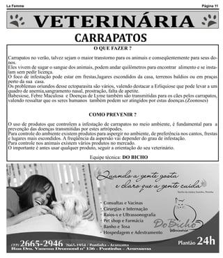 La Femme                                                                                        Página 11




            VETERINÁRIA
                                CARRAPATOS
                                          O QUE FAZER ?
Carrapatos no verão, talvez sejam o maior transtorno para os animais e conseqüentemente para seus do-
nos.
Eles vivem de sugar o sangue dos animais, podem andar quilômetros para encontrar alimento e se insta-
lam sem pedir licença.
O foco de infestação pode estar em frestas,lugares escondidos da casa, terrenos baldios ou em praças
perto da sua casa.
Os problemas oriundos desse ectoparasita são vários, valendo destacar a Erliquiose que pode levar a um
quadro de anemia,sangramento nasal, prostração, falta de apetite.
Babesiose, Febre Maculosa e Doenças de Lyme também são transmitidas para os cães pelos carrapatos,
valendo ressaltar que os seres humanos também podem ser atingidos por estas doenças.(Zoonoses)

                                        COMO PREVENIR ?
O uso de produtos que controlem a infestação de carrapatos no meio ambiente, é fundamental para a
prevenção das doenças transmitidas por estes artrópodes.
Para controle do ambiente existem produtos para aspergir no ambiente, de preferência nos cantos, frestas
e lugares mais escondidos. A freqüência da aspersão vai depender do grau de infestação.
Para controle nos animais existem vários produtos no mercado.
O importante é antes usar qualquer produto, seguir a orientação do seu veterinário.
                                        Equipe técnica: DO BICHO
 