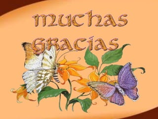 La fé en la filosofía