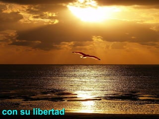 con su libertadcon su libertad
 