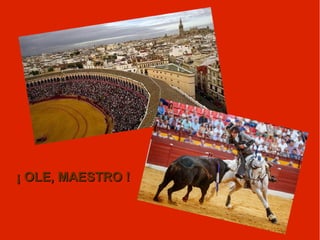 ¡ OLE, MAESTRO !¡ OLE, MAESTRO !
 