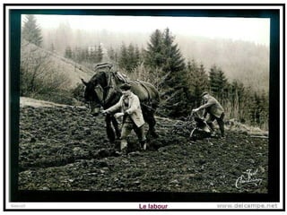 Le labour 